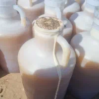 عسل‌کنار و معجون معجزه