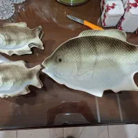 ظروف پذیرایی