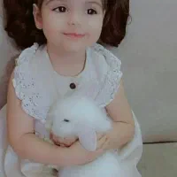 خرگوش لوپ پاریسی|موش و خرگوش|کرمان, |دیوار