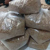 سماخ درجه یک با بهترین کیفیت