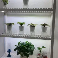 استند گل|کتابخانه، شلف، قفسه‌های دیواری|کرج, شاهین‌ویلا|دیوار