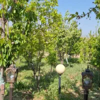 ویلا باغ روستایی اوکازیون