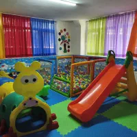 خدماتی خانم در مهد