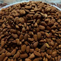 مغز بادام آذر