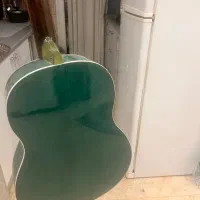 فروش گیتار نو|گیتار، بیس، امپلیفایر|تهران, سلسبیل شمالی|دیوار