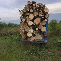 چوب و درخت باغی