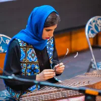آموزش سنتور (خصوصی)|خدمات آموزشی|تهران, شهر زیبا|دیوار