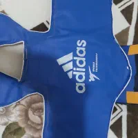 هوگو و میت تکواندو