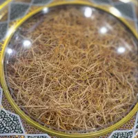 زعفران درجه یک- سوپر نگین-سحرخیز|خوردنی و آشامیدنی|تهران, هروی|دیوار