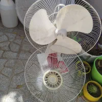 پنکه