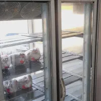 یخچال تمام استیل|یخچال و فریزر|سده (فارس), |دیوار