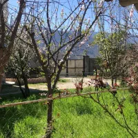 فروش واحد دامداری صنعتی ۲۳۲۱ متری با بنا|فروش دفتر صنعتی، کشاورزی، تجاری|نوکنده, |دیوار