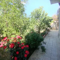 باغ-سرسبزمیوه-دار-جوزدان
