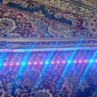 ال ای دی اکواریوم روکسین