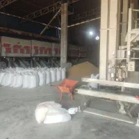 برنج عنبر بو خوزستان|عمده‌فروشی|کرخه, |دیوار