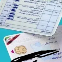 کارت ماشین وبرگ سبز۲۰۶دلفینی رنگ