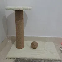 اسکرچر گربه