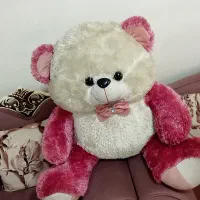 خرس بزرگ