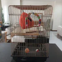 قفس پرنده