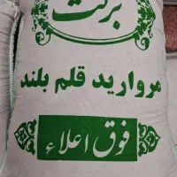برنج مروارید دانه بلند فوق اعلا مجلسی(عمده و خرده)|خوردنی و آشامیدنی|تهران, یافت‌آباد|دیوار