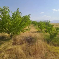 فروش باغ در روستای خوک از توابع شوط|فروش زمین و ملک کلنگی|شوط, |دیوار