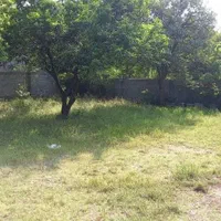 فروش ویلاباغ ۷۵۰متری سندداردرمنطقه جنگلی امل|فروش خانه و ویلا|امامزاده عبدالله, |دیوار