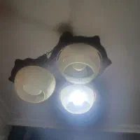 دوعددلوسترچوبی