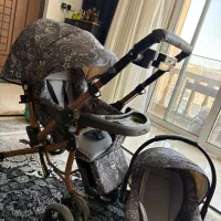 کالسکه چیکو دلیجان