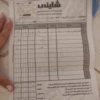 لوستر|لوستر و چراغ آویز|تبریز, |دیوار