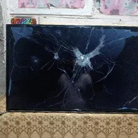 تلوزیون ایوولی32