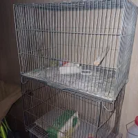قفس سایز بزرگ مناسب انواع طوطیسان کاملا سالم