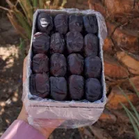 خرمای مضافتی درجه یک