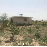 زمین کشاورزی گلخانه ای قزوین فارسیان|فروش دفتر صنعتی، کشاورزی، تجاری|قزوین, |دیوار