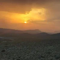 پنج عدد بز چاق کیلویی ۲۰۰