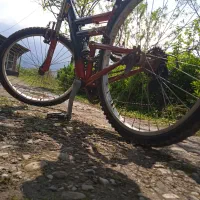 یک عدد دوچرخه