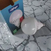 لامپ