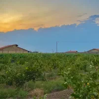 چهاردیواری-میخوای-بیا-تیمیارت