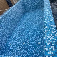 جارو استخر و جکوزی اسید شویی ونگهداری ماهیانه