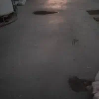 اجاره-سوله-آماده-بهره-برداری