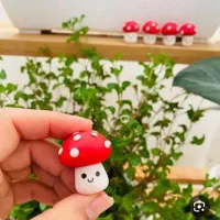 قارچ گمشده|اشیا|شوشتر, |دیوار