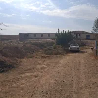 استخدام نیروی کار دامداری در اسفراین