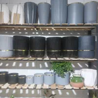 گل وگلدان|گل و گیاه طبیعی|اسلامآباد غرب, |دیوار