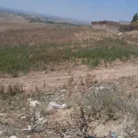 یه قواره روبروی دانشگاه