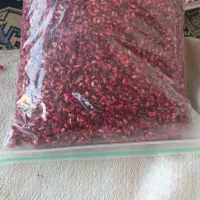 محصولات خانگی|خوردنی و آشامیدنی|جویبار, |دیوار