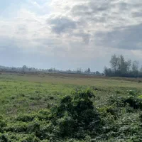 ۵۰۰مترزمین داخل طرح ویشگاننک سنگررشت|فروش زمین و ملک کلنگی|سنگر, |دیوار