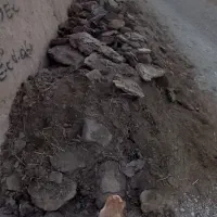 کود گوسفندی