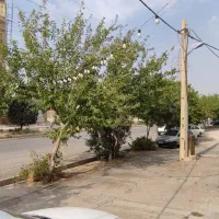 معاوضه مغازه ۱۶ متر بر عرفان شرقی با باغ در قلات|فروش دفتر صنعتی، کشاورزی، تجاری|شیراز, کوشک میدان|دیوار