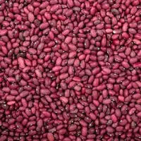 فروش عمده لوبیا قرمز