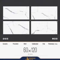 سرامیک وروشویی