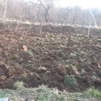 علف.زنی.سمپاشی|خدمات باغبانی و درختکاری|تبریز, |دیوار